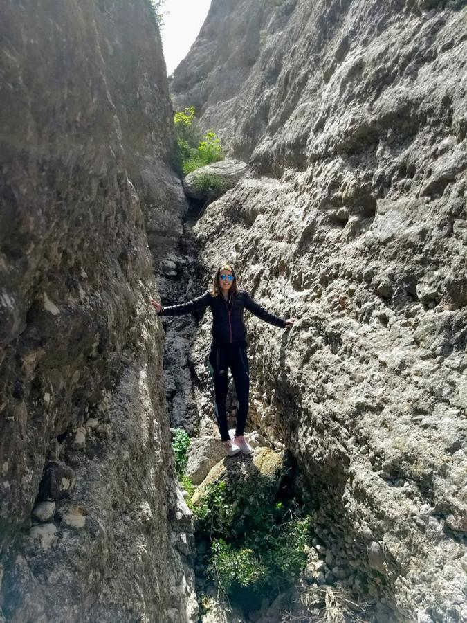 Pensjonat Cal Tomas, Ecoturisme Terra Alta Bot Zewnętrze zdjęcie